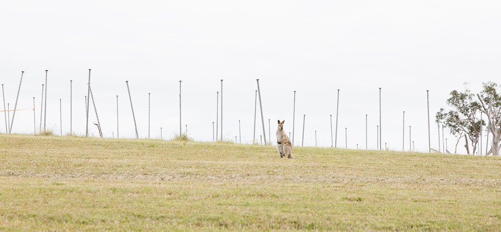 I felt the earth move